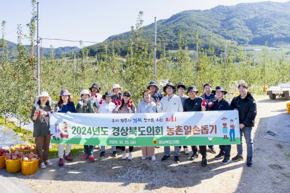 25일 가을철 수확기에 영주지역 농가를 찾아 일손돕기에 나선 경북도의회(의장 박성만). 경북도의회 제공