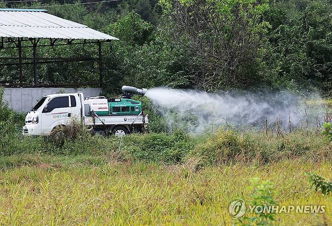 럼피스킨을 막아라 ※ 기사와 직접적인 관계가 없습니다. [연합뉴스 자료 사진]