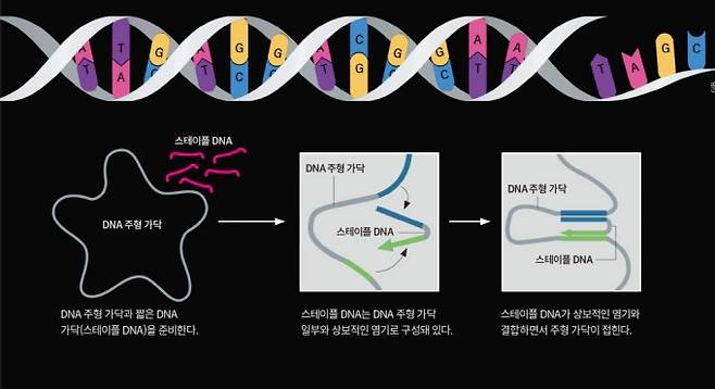 게티이미지뱅크, 과학동아 제공