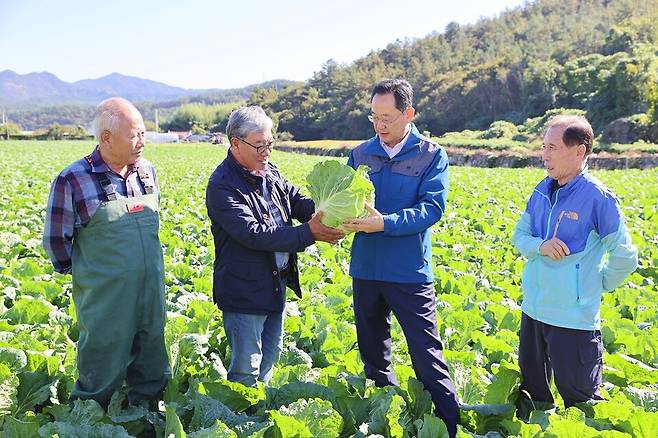 명현관(오른쪽 두번째) 해남군수가 24일 마산면 배추 재배 농가 현장을 찾아 생육 상태 등을 점검하고 있다. ⓒ해남군