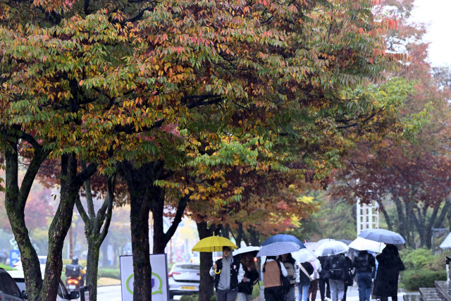 ▲ 도내에 가을비가 내린 지난 22일 강원대학교 춘천캠퍼스에서 우산을 쓴 학생들이 발걸음을 옮기고 있다. 강원도민일보 자료사진