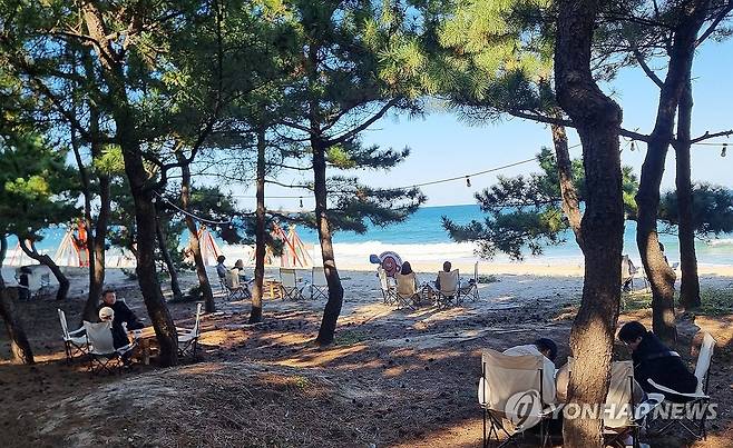 바다를 보며 마시는 커피 한잔 (강릉=연합뉴스) 유형재 기자 = 24일 개막한 제16회 강릉커피축제가 열리고 있는 강릉시 커피거리 앞 해변에서 참가자들이 바다를 보며 커피를 마시고 있다.
    축제는 27일까지 계속된다. 2024.10.24 yoo21@yna.co.kr