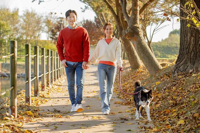 가벼운 산책은 매일 반복해도 몸에 무리가 없고, 격렬한 운동으로 얻을 수 없는 건강상 이점들이 있다. [사진=클립아트코리아]