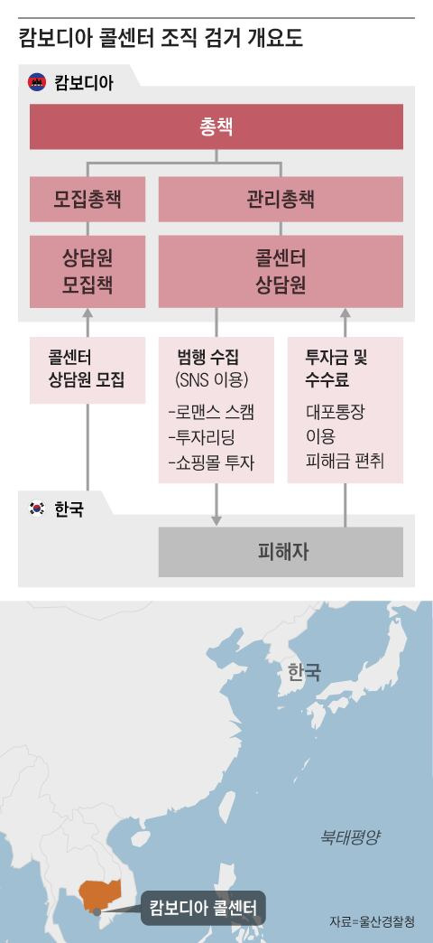 그래픽=조선디자인랩 김영재