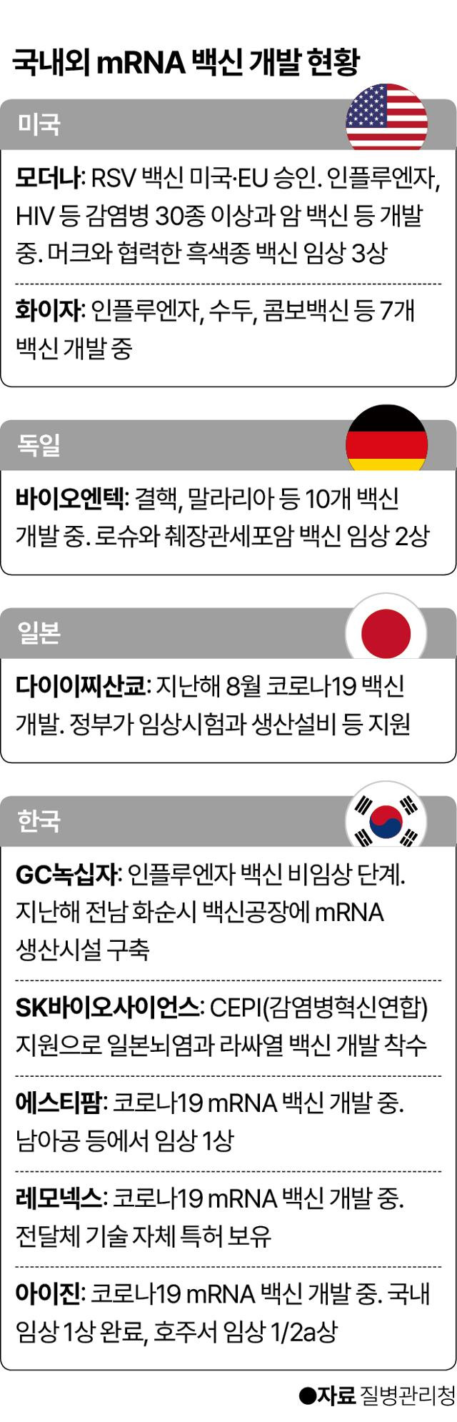 국내외 mRNA 백신 개발 현황. 그래픽=이지원 기자