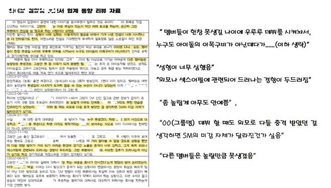 지난 24일 열린 국회 문화체육관광위원회 국정감사에서 공개된 하이브 모니터링 자료. 국정감사 화면 갈무리.