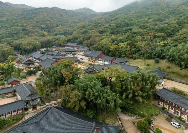 이상기후가 지속되면서 울긋불긋한 단풍이 점점 자취를 감추고 있다. 사진은 국제신문 취재진이 29일 항공촬영한 부산 금정산 범어사 일대 수목이 푸른 빛을 띠고 있는 모습.  이원준 기자