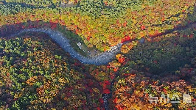 [제주=뉴시스] 임재영 기자 = 한라산에서 발원해 해안까지 이어지는 제주시 천아계곡은 탐방객이 몰리는 단풍 명소 가운데 하나이다. (사진=뉴시스DB) ijy788@newsis.com