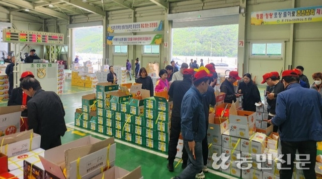 참외 주산지를 중심으로 참외 겉면에 소형 스티커를 부착하는 관행을 없애야 한다는 목소리가 높다. 사진은 경북 성주의 한 참외 산지공판장에서 참외 경매가 진행되는 모습.