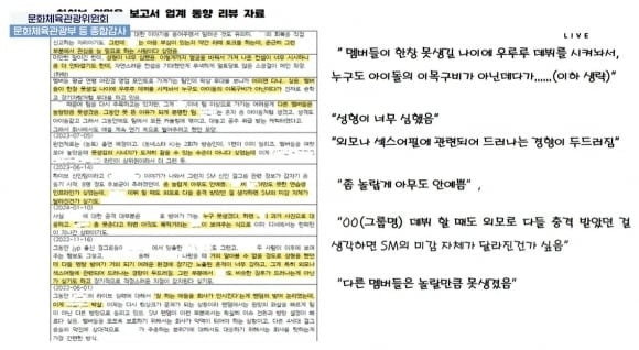 지난 24일 국회 문화체육관광위원회의 문화체육부 등에 대한 종합감사에서 하이브가 다른 연예기획사 소속 아이돌의 ‘외모 품평’을 하는 등 부적절한 내용이 담긴 내부 문건을 만들어 공유한 사실이 공개됐다. 자료 : 민형배 더불어민주당 의원·국회방송