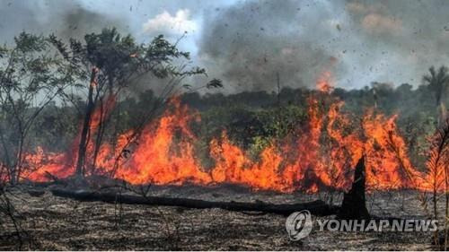 불타는 아마존 열대우림  [브라질 뉴스포털 G1]