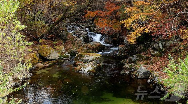 지난 29일 오후 강원 인제군 기린면 방태산 이단폭포 일대가 울긋불긋한 단풍으로 물들면서 아름다운 가을 풍경을 연출하고 있다. (인제군 제공)2024.10.30/뉴스1 ⓒ News1 윤왕근 기자