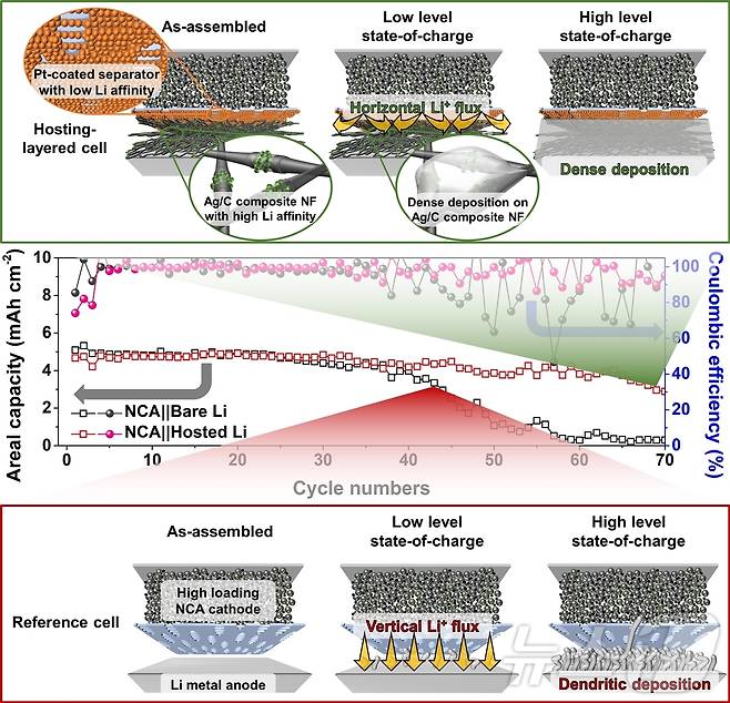 연구 모식도[짧은 수명의 대조군 (아래쪽)과 연구팀이 개발한 호스트를 적용해 수명이 78% 향상된 리튬금속전지(위쪽)] 모습.(단국대 제공)