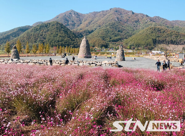 포천 세계지질공원내 조성된 한탄강 가든 페스타 전경/ 사진┃이의석 기자 sports@stnsports.co.kr