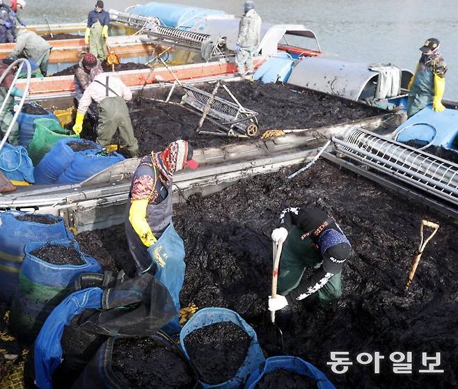 10일 전남 신안군 압해도의 한 부두에서 어민들이 겨울 바다 김 양식장에서 채취한 물김을 출하하기 위해 분주하게 움직이고 있다. 신안=박영철 기자 skyblue@donga.com