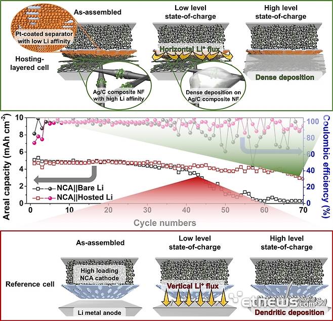 수직적 리튬 전착으로 짧은 수명의 대조군(아래쪽)과 연구팀 개발한 호스트를 적용해 78% 수명이 향상된 리튬금속전지(위쪽)의 연구모식도.