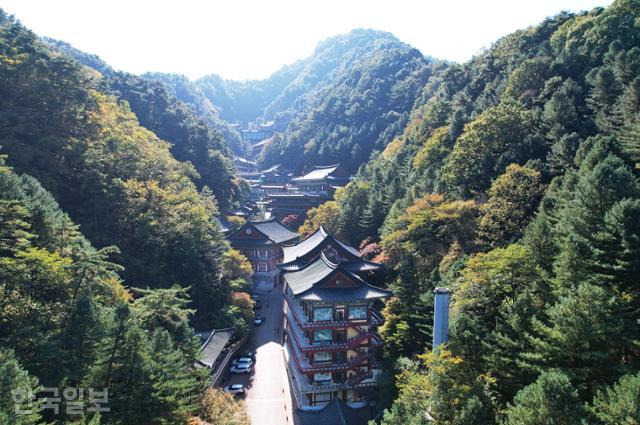 천태종 본산 구인사의 대형 전각이 골짜기 하나를 가득 채우고 있다.