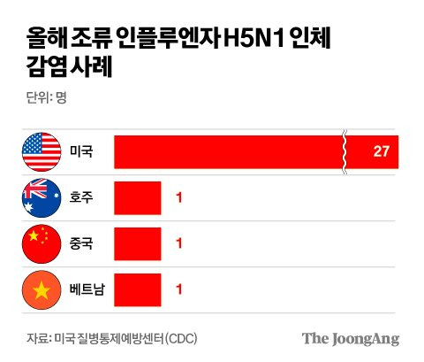 김영희 디자이너