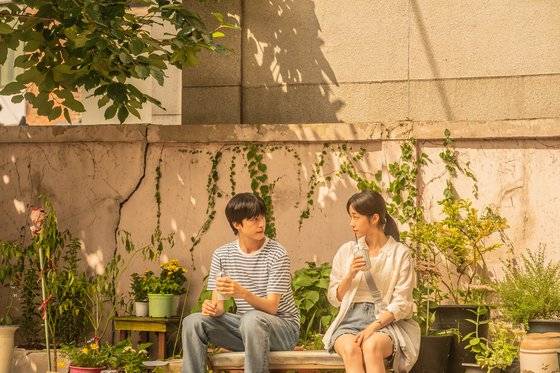 영화 '청설'(6일 개봉)에선 수어를 사용하는 설정상 남녀 주인공이 서로의 눈빛을 바라보며 설렘을 자아내는 장면이 많이 등장한다. 사진 KC벤처스, 플러스엠 엔터테인먼트
