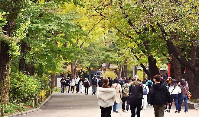 덕수궁에 찾아든 가을. / 사진=연합뉴스