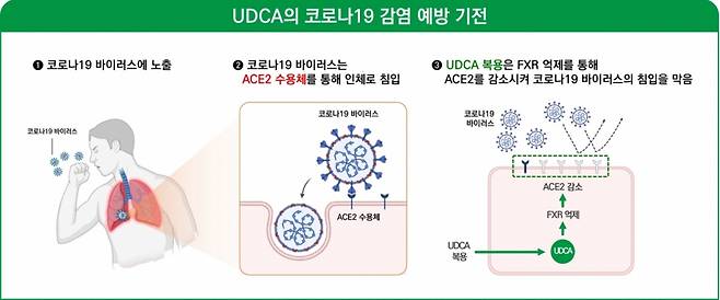 사진= 백양현 교수 연구팀