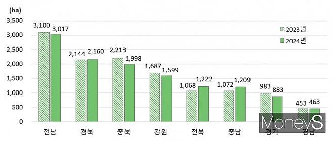 상위 8개 시도별 가을배추 재배면적 /사진=통계청 제공.