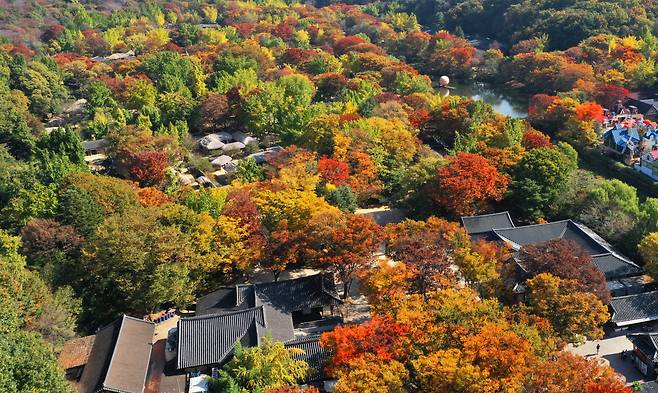 30일 경기도 용인시 한국민속촌에 단풍이 물들어가고 있다. [뉴시스]