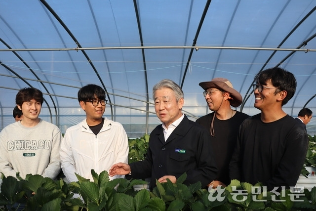 강호동 농협중앙회장(가운데)이 10월30일 경남 진주 수곡면 일대에서 딸기 농사를 짓는 청년농들을 찾아 애로사항을 청취하고 스마트 기술 접목 등 다양한 지원 방안에 대해 이야기를 나누고 있다. 이 청년농들은 농촌을 지키고 발전시키기 위해 뭉친 청년창업후계농들로, ‘매료된 청년들’이란 이름의 농업회사법인을 설립한 뒤 최고 품질의 프리미엄급 딸기를 소비자들에게 직접 공급해 호평받고 있다.