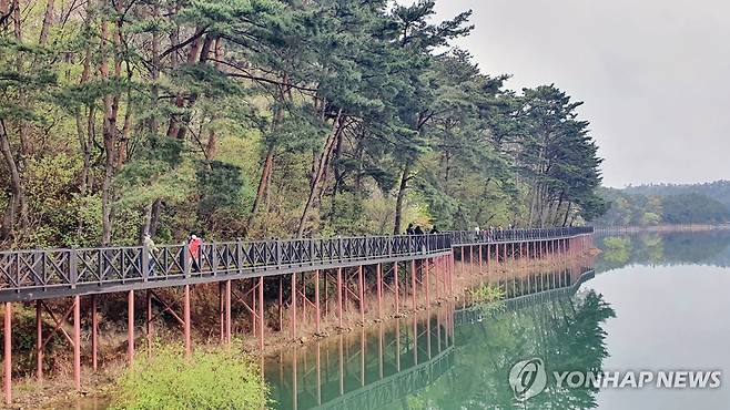 광주호 호수생태원 [광주시 제공]