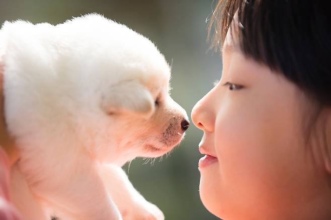 반려견과 사는 것은 다양한 건강상 이점이 있지만 때때로 서로를 아프게 할 수 있는 세균을 옮길 수 있다. (사진 이미지투데이) ⓒ 뉴스1