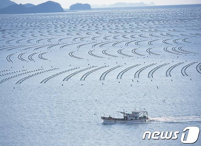 해남군 송지면 김양식장 전경(해남군 제공)/뉴스1 ⓒ News1 박진규 기자