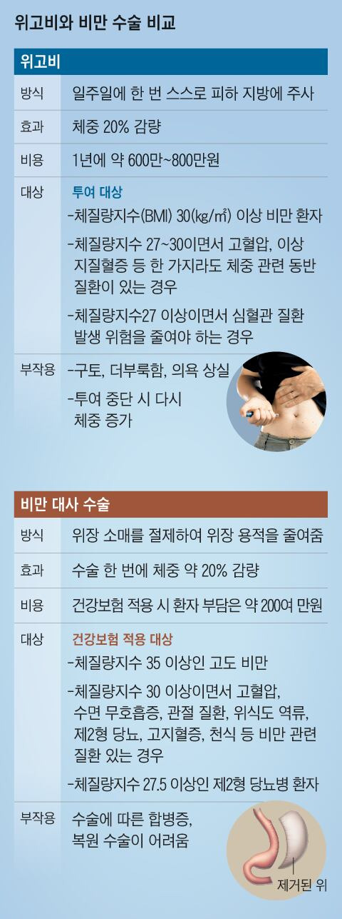 그래픽=김현국