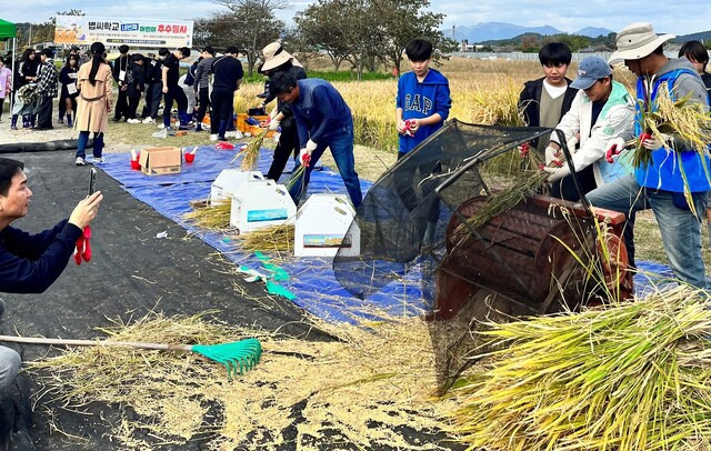 볍씨마을학교 추수 체험. 전남도 제공