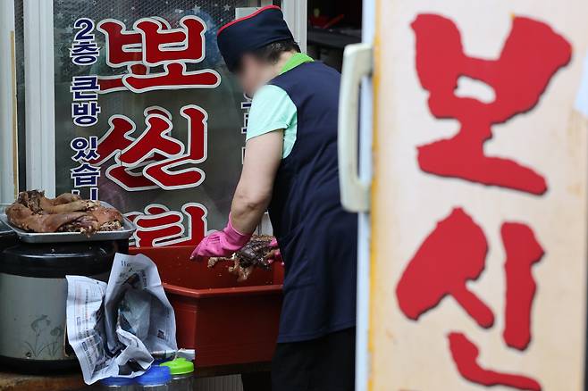 서울 종로구 보신탕 골목에서 식당 관계자가 점심식사 준비를 하고 있다. /뉴스1