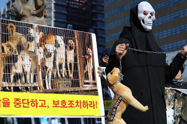 한국동물보호연합 활동가들이 서울 종로구 광화문광장에서 가진 개 농장의 남은 개들 도살 중단 및 보호조치 촉구 기자회견에서 퍼포먼스를 하고 있다. /뉴스1