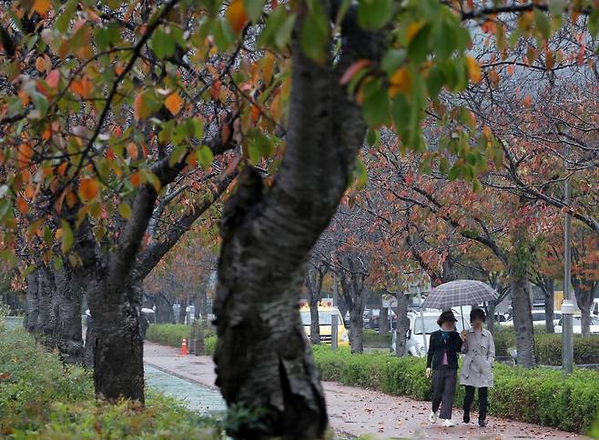 가을비가 내리는 28일 오후 부산 금정구 스포원파크 금정체육공원에서 우산을 쓴 시민들이 이동하고 있다. 2024.10.28/뉴스1