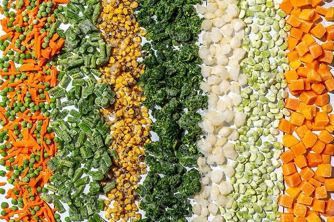 사진=게티이미지코리아.