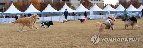 [연합뉴스 자료사진]