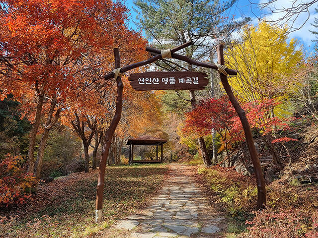 가평 '연인산 명품 계곡길'은 계곡과 산림, 사람과의 조화가 이루어진 아름다운 계곡길로 선녀들이 내려와 쉬어갔다는 선녀탕, 화전민터, 숯가마터, 기암괴석 등 역사·문화적, 경관적 가치가 매우 높은 숲길이다./산림청