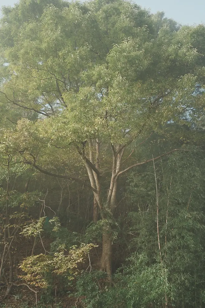 058aef76b68b68f620a8d3b706f11a39f11c51e27ac2e832f16b