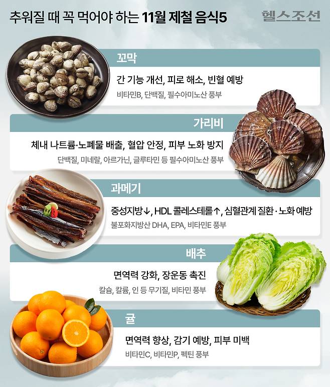 11월 제철 음식./그래픽=김경아