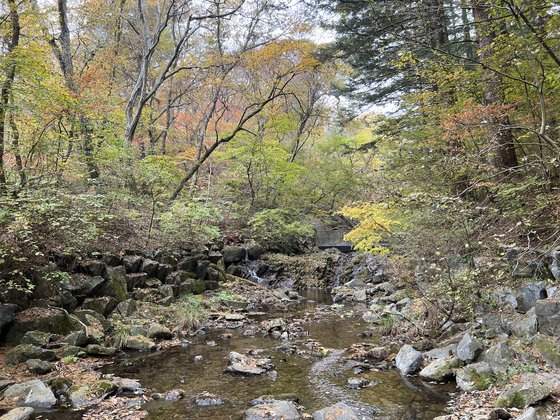 The Korea National Arboretum opened its “Secret Garden” to the public. [KOREA NATIONAL ARBORETUM]