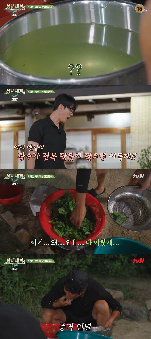 tvN ‘삼시세끼 Light’ 캡처