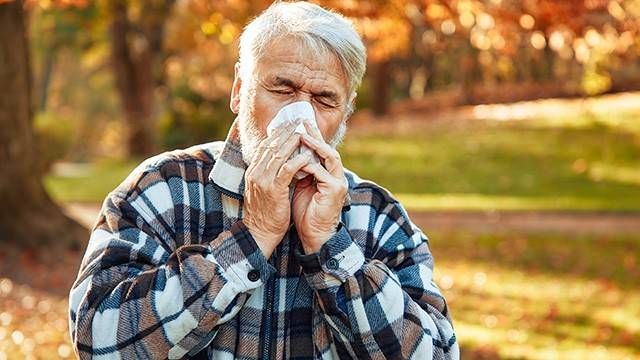 가을이면 알레르기 비염 환자가 늘어난다｜출처: 게티이미지뱅크