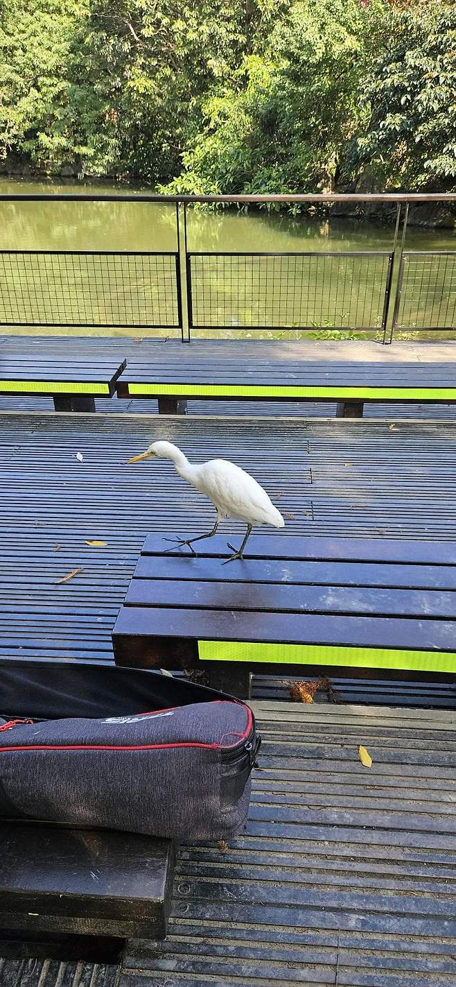 7fed8272b58369f751ee86e047827473432dfd3986d005a29d4267afe4d89709