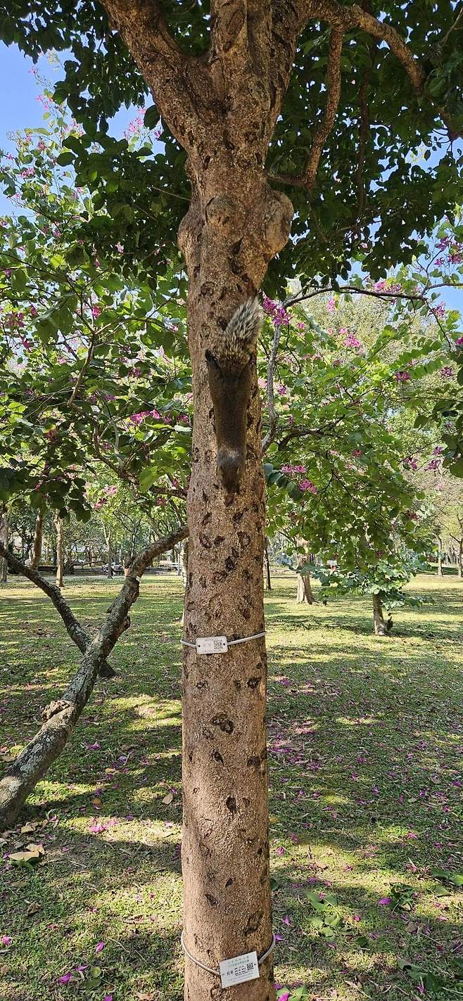 7fed8272b58369f751ee87e444807673d3ab6227d981babbc71daed238ebfb95