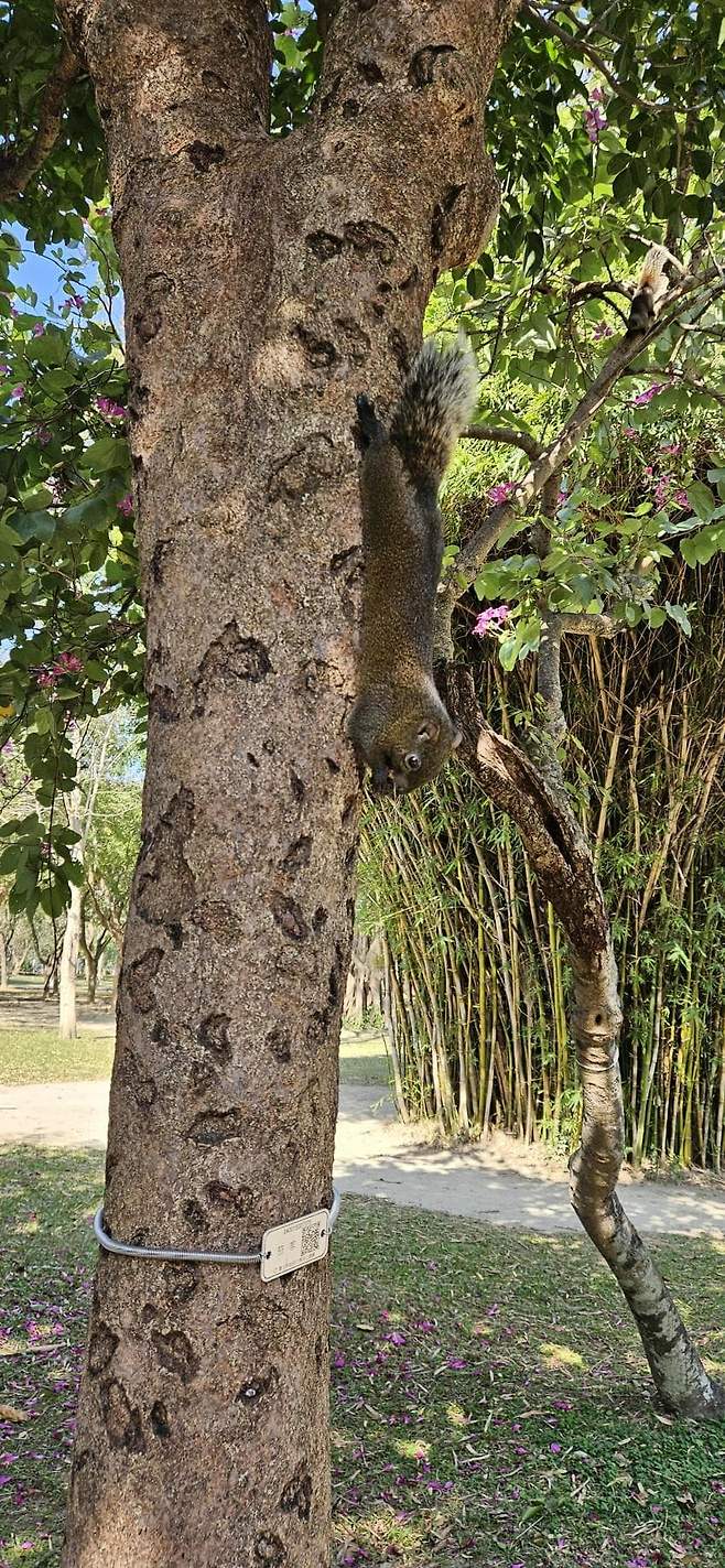 7fed8272b58369f751ee87e444807d738c94c1d2f3692cb1732fd5c704464b9d