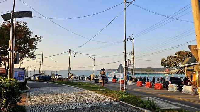 20241102_165030.jpg 캠핑 2일차) 저녁은 소고기와 자연산 대하 그리고 무늬오징어!!!!