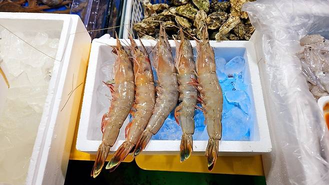 20241102_170105.jpg 캠핑 2일차) 저녁은 소고기와 자연산 대하 그리고 무늬오징어!!!!