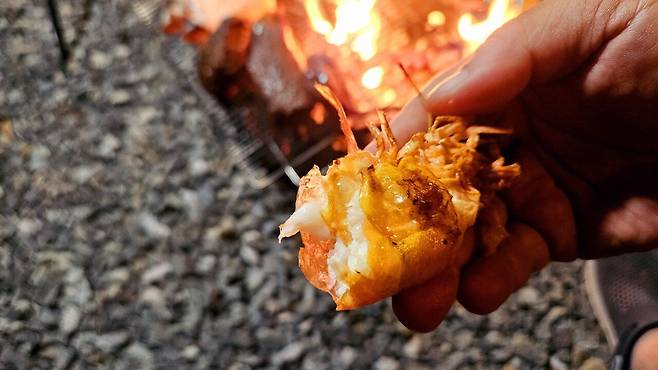 20241102_184312.jpg 캠핑 2일차) 저녁은 소고기와 자연산 대하 그리고 무늬오징어!!!!